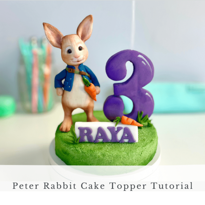 Peter rabbit cake topper