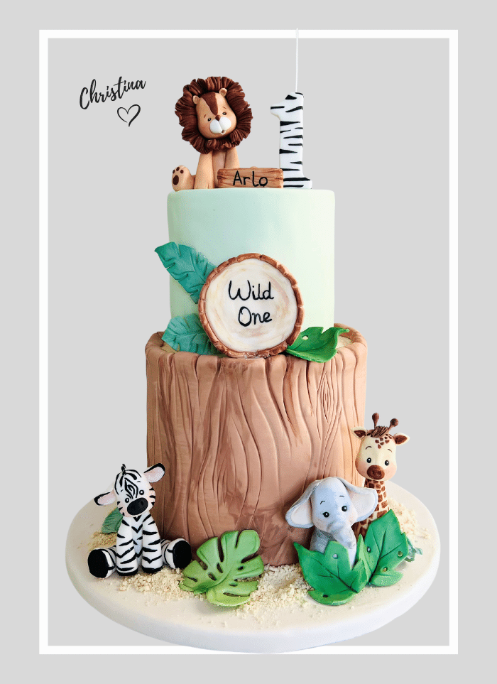 wild one birthday cake